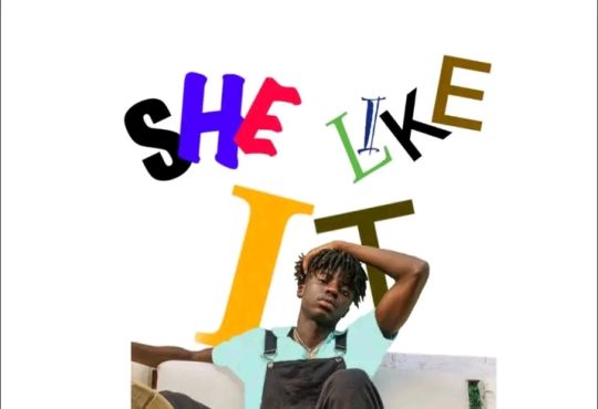 Lavien - She Like It