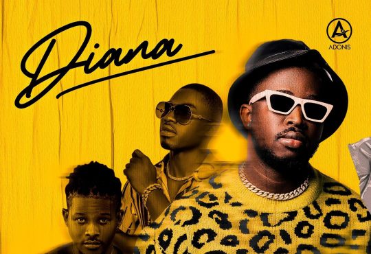 D'Ameko Ft. Nuchie Meek & 2Switt - Diana [ Prod. KellzBeatz & Gwezzy ]