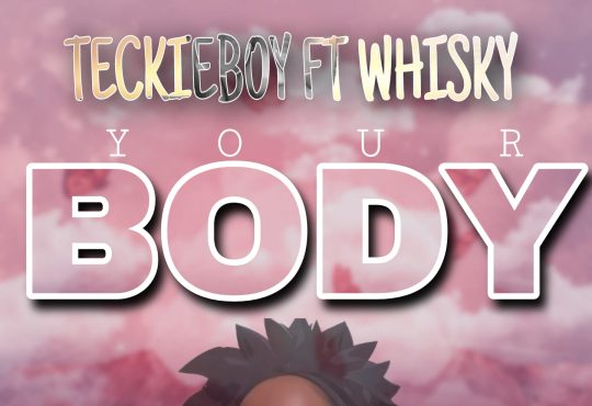 TeckieBoy Ft. Whisky - Your Body