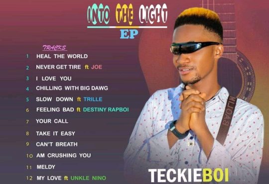 TeckieBoy - Into The Light Album