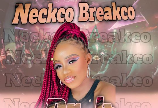 Dr. 4- Neckco Breakco