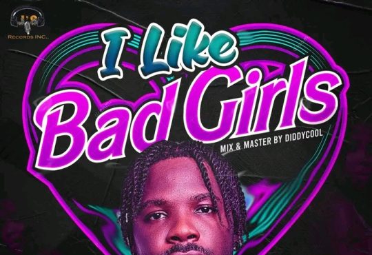 Jemil - I Like Bad Girls [ M&M by Diddycool ]