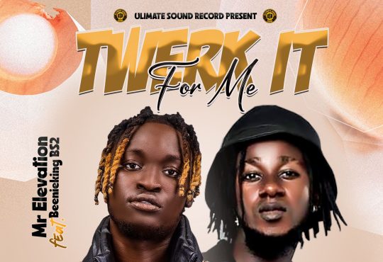 Mr. Elevation Ft. Beenieking BS2 - Twerk For Me