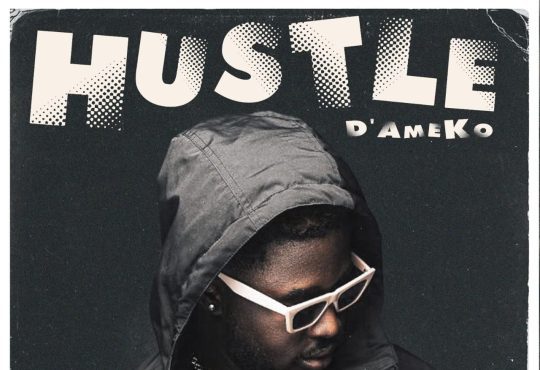 D'Ameko - Hustle [ Originalhitz.com ]