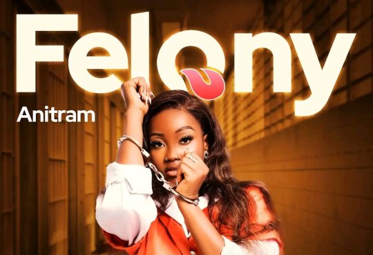 Anitram - Felony [ Prod. Kizzy W]