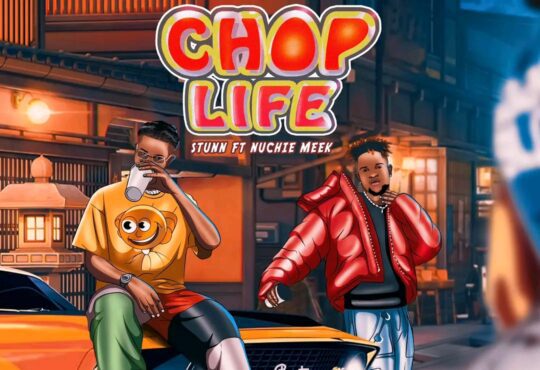Stunn Ft. Nuchie Meek - Chop Life