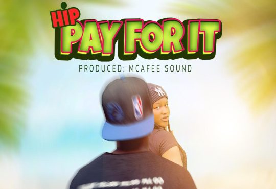 Hip - Pay For It [ McAfee Sound ]